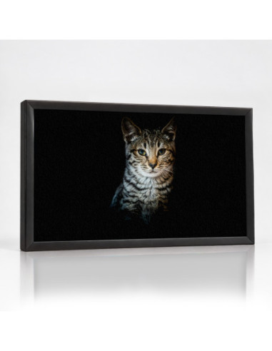 Topný obraz Portrét kočky na černém pozadí | Infrapanel na míru