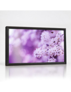 Topný obraz Fialové květy s bokeh | Infrapanel na míru