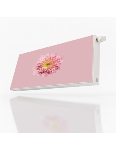 Magnetická fólie na radiátor Růžová gerbera | Magnetická fólie na míru