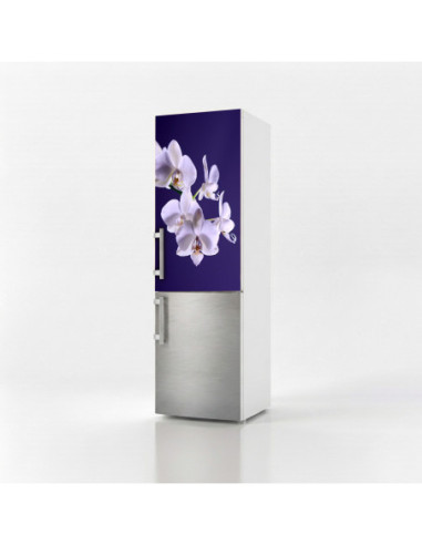 Magnetická fólie na lednici Bílé orchideje | Magnetická fólie na míru
