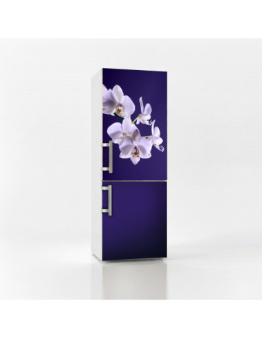 Magnetická fólie na lednici Bílé orchideje | Magnetická fólie na míru