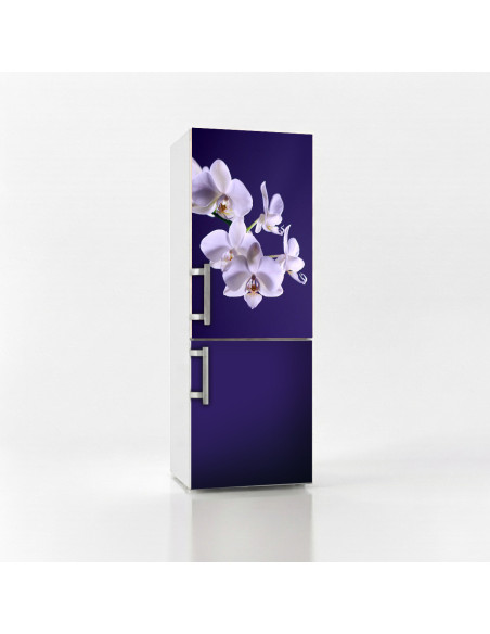 Magnetická fólie na lednici Bílé orchideje | Magnetická fólie na míru