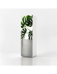 Magnetická fólie na lednici Monstera list | Magnetická fólie na míru