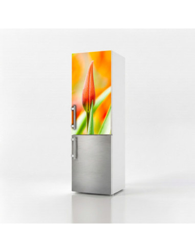 Magnetická fólie na lednici Oranžový tulipán | Magnetická fólie na míru