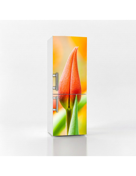 Magnetická fólie na lednici Oranžový tulipán | Magnetická fólie na míru