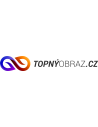 TopnýObraz.CZ